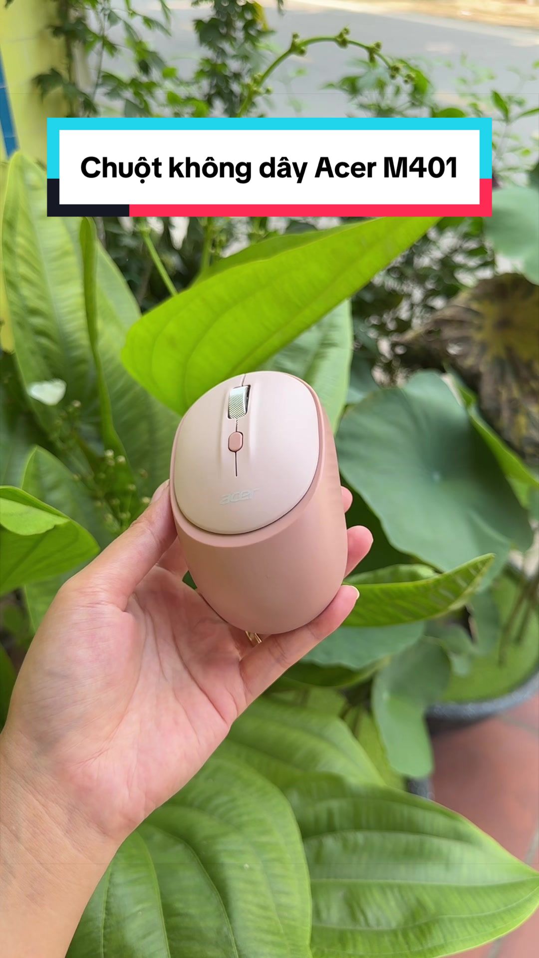 @Tuấn Bình Thường