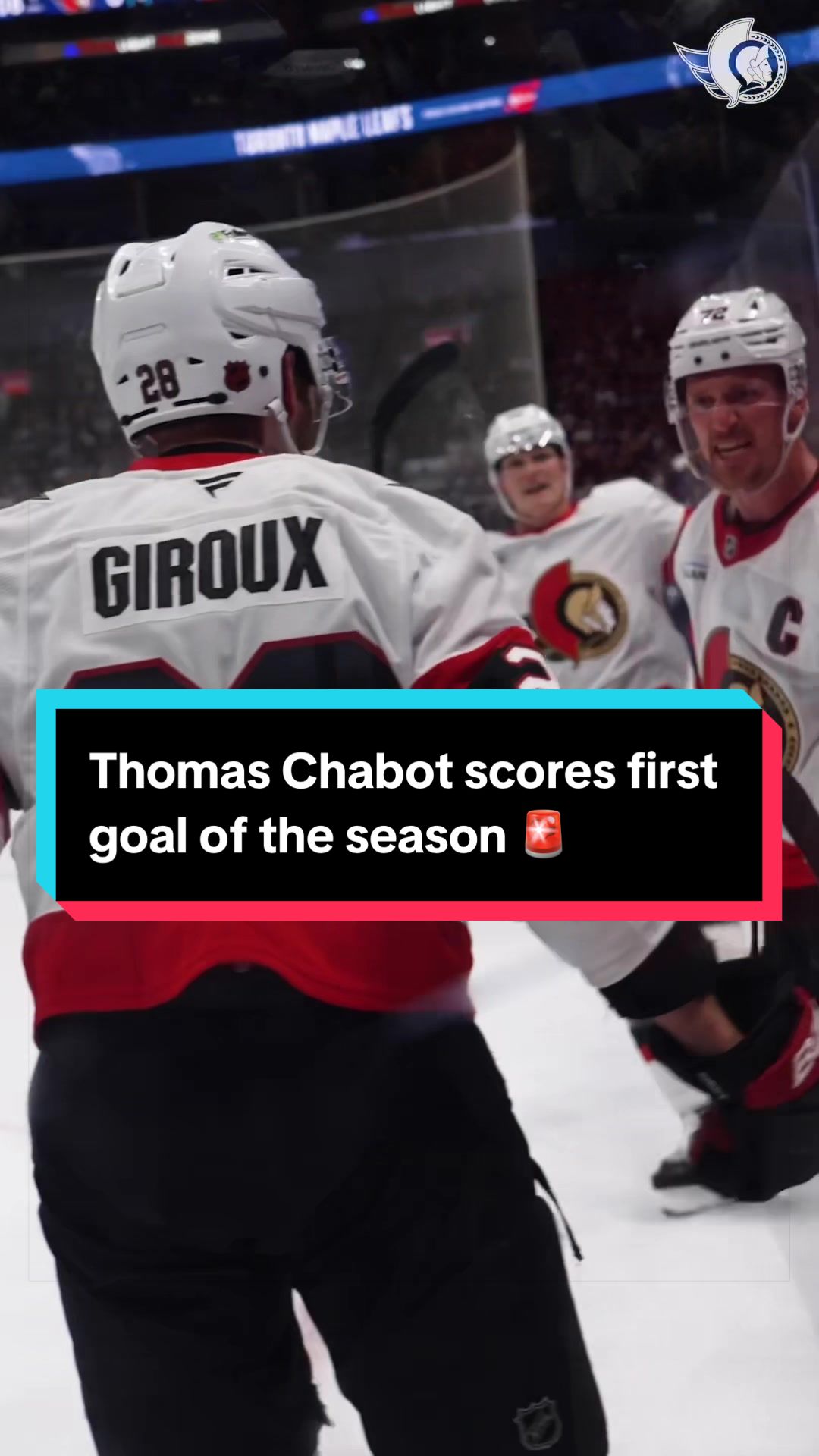 @Ottawa Senators
