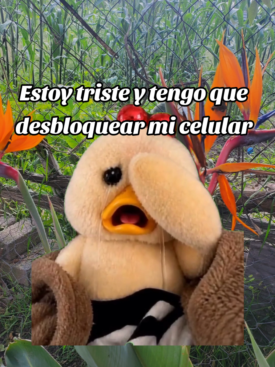 @patito6818
