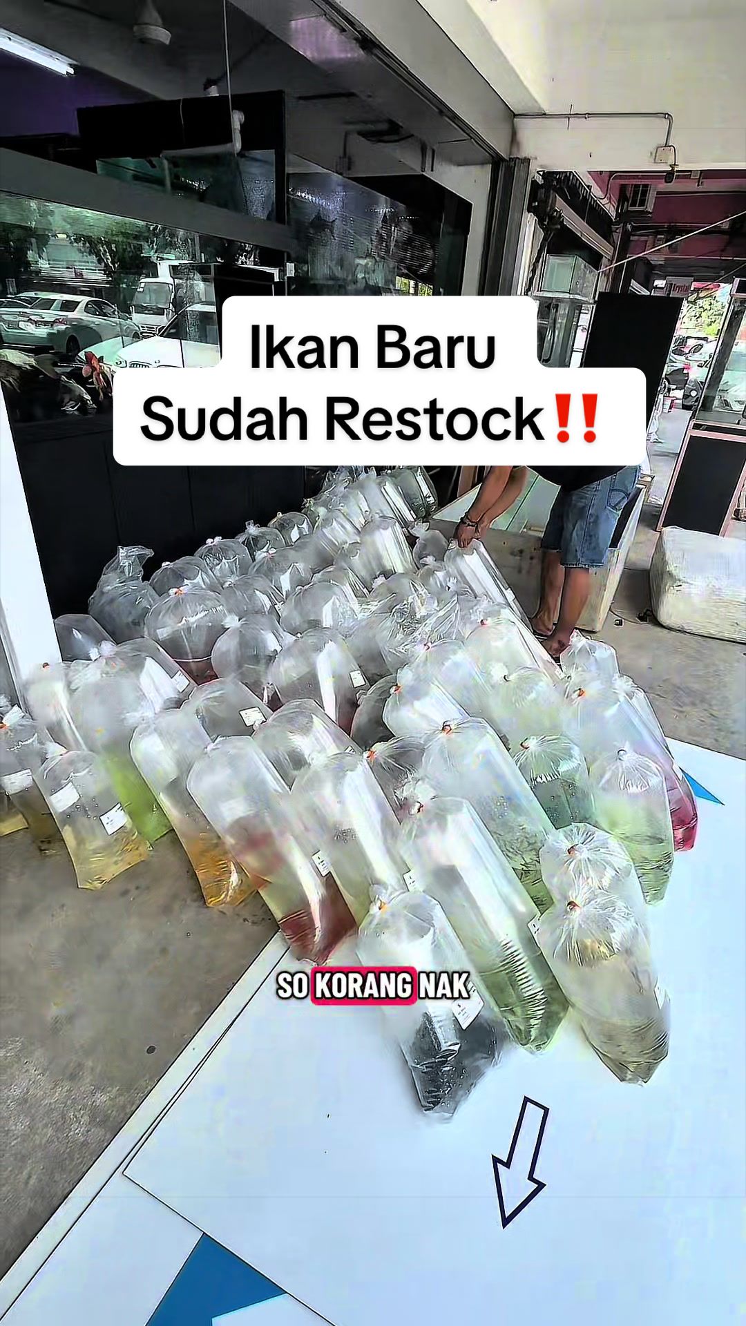 @SuperRedAquaticMelaka