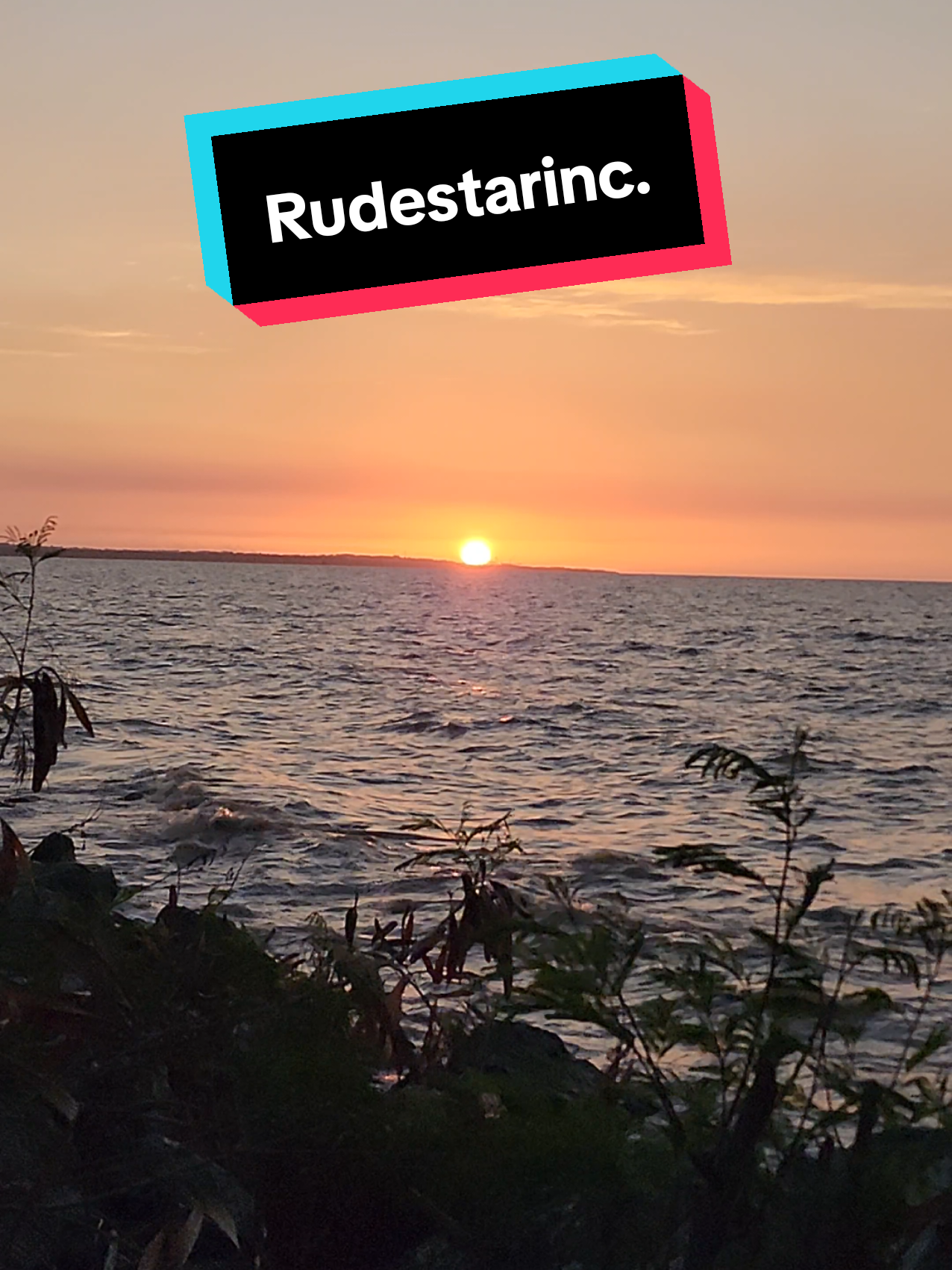 @Rudestarinc.