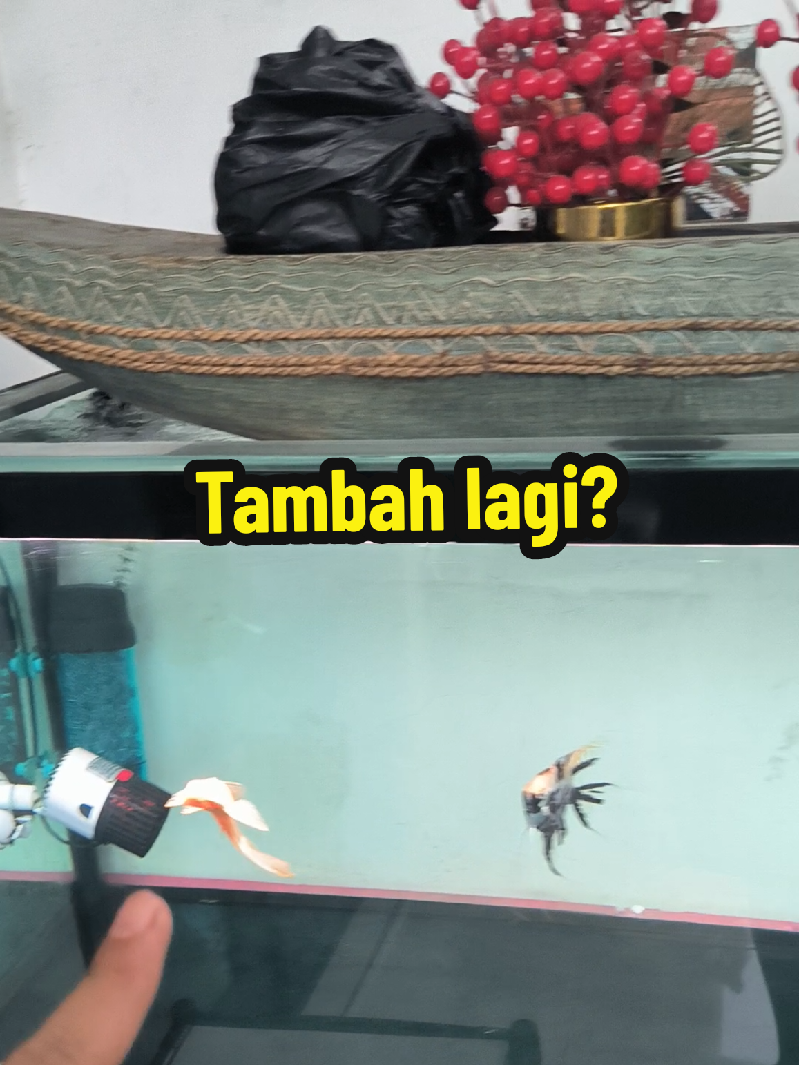 @Punya Namita