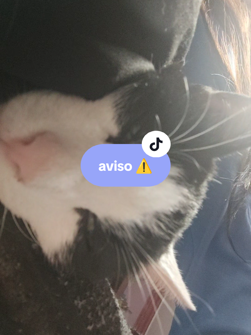 @ARTÍSTICA