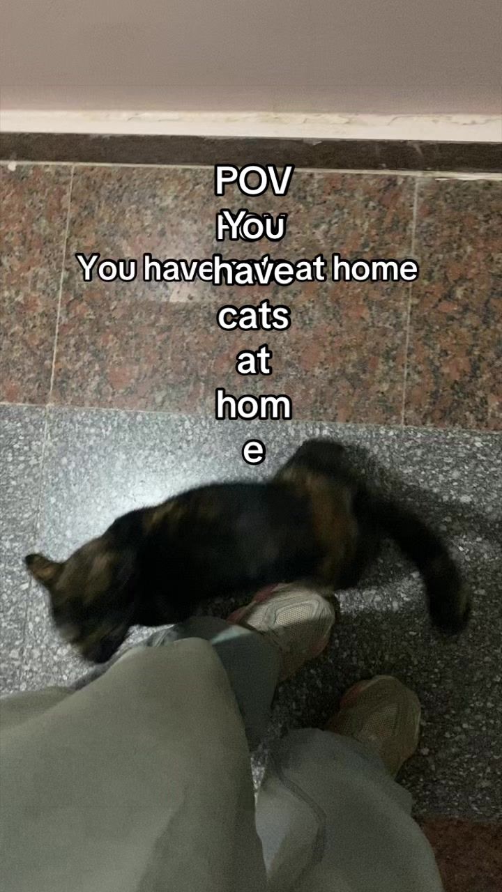 @AyahAlsharif