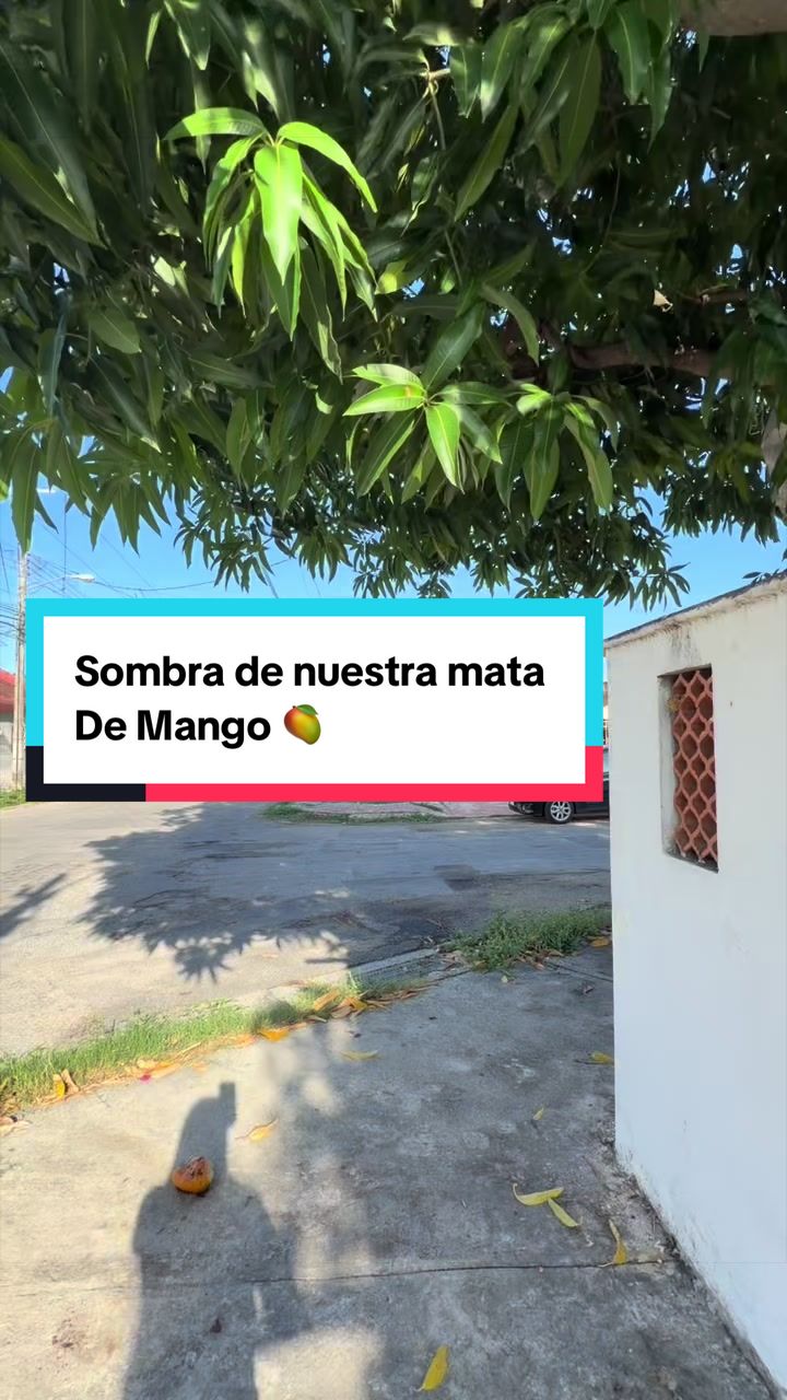 @Sthevanies Barrera C