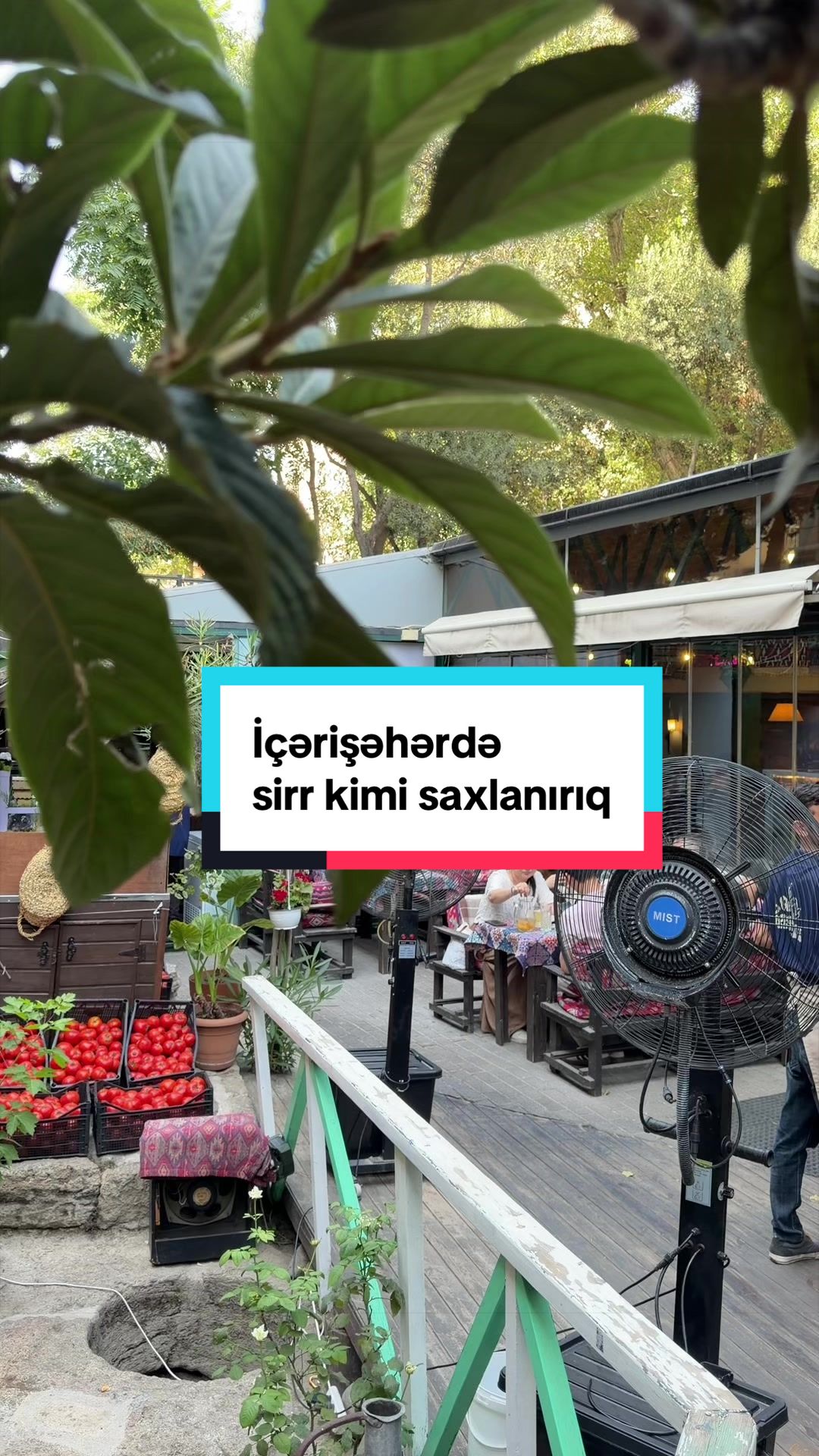@Old Garden Baku | Qədim Bağ