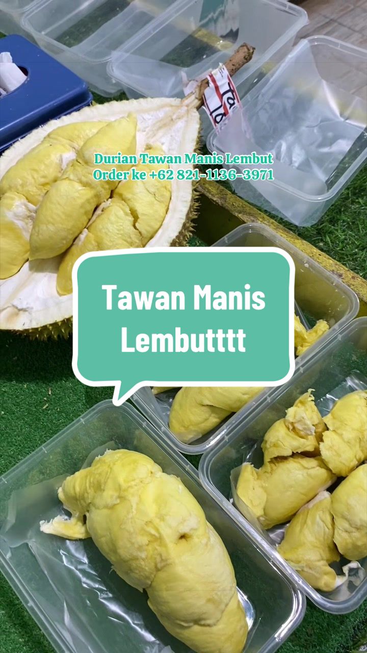 @Rumah Tamma Durian