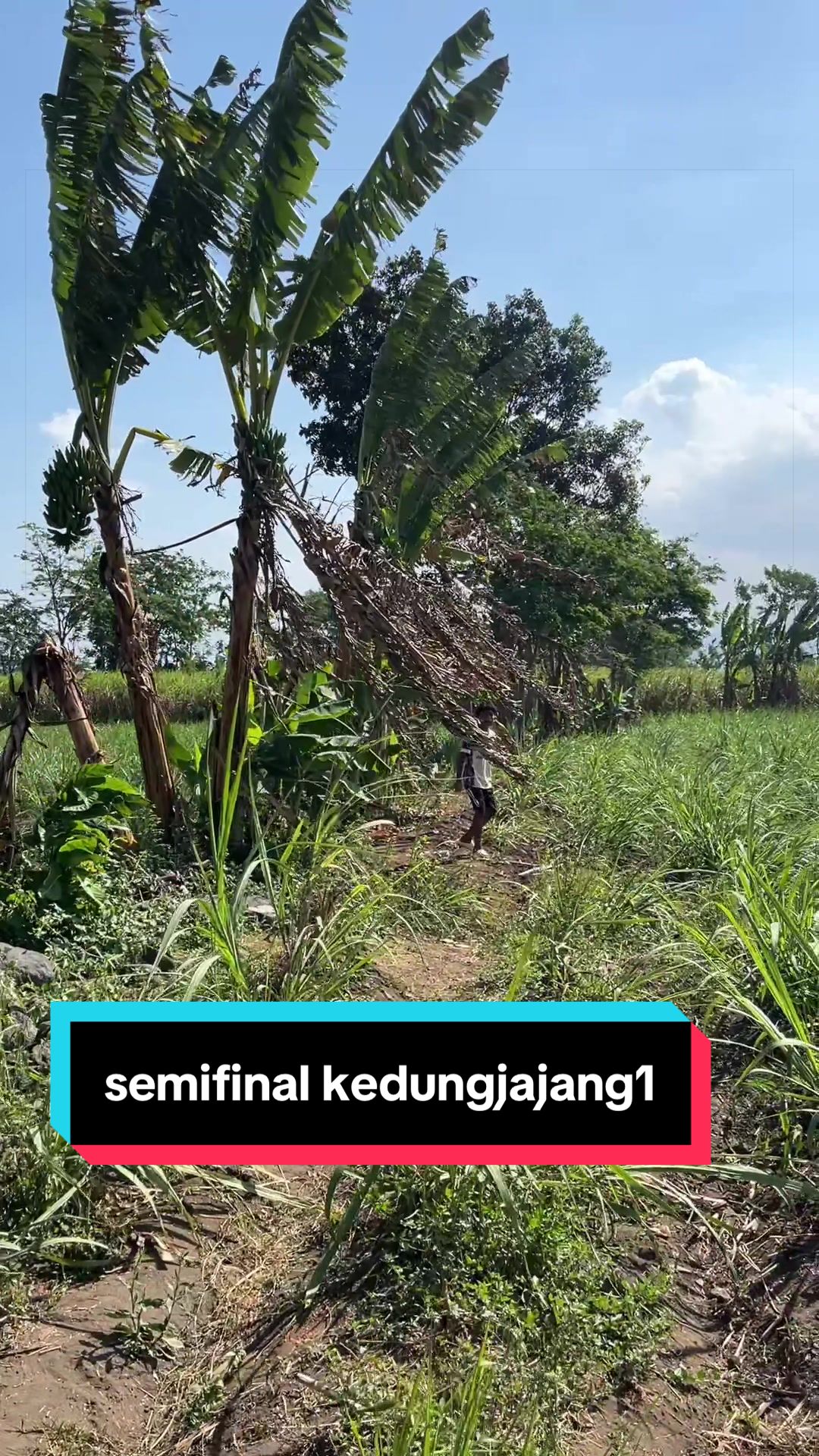 @Ali Topan Lumajang