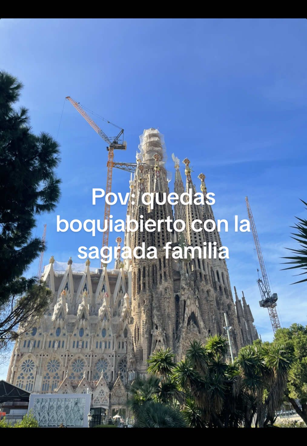 @Susy Meza