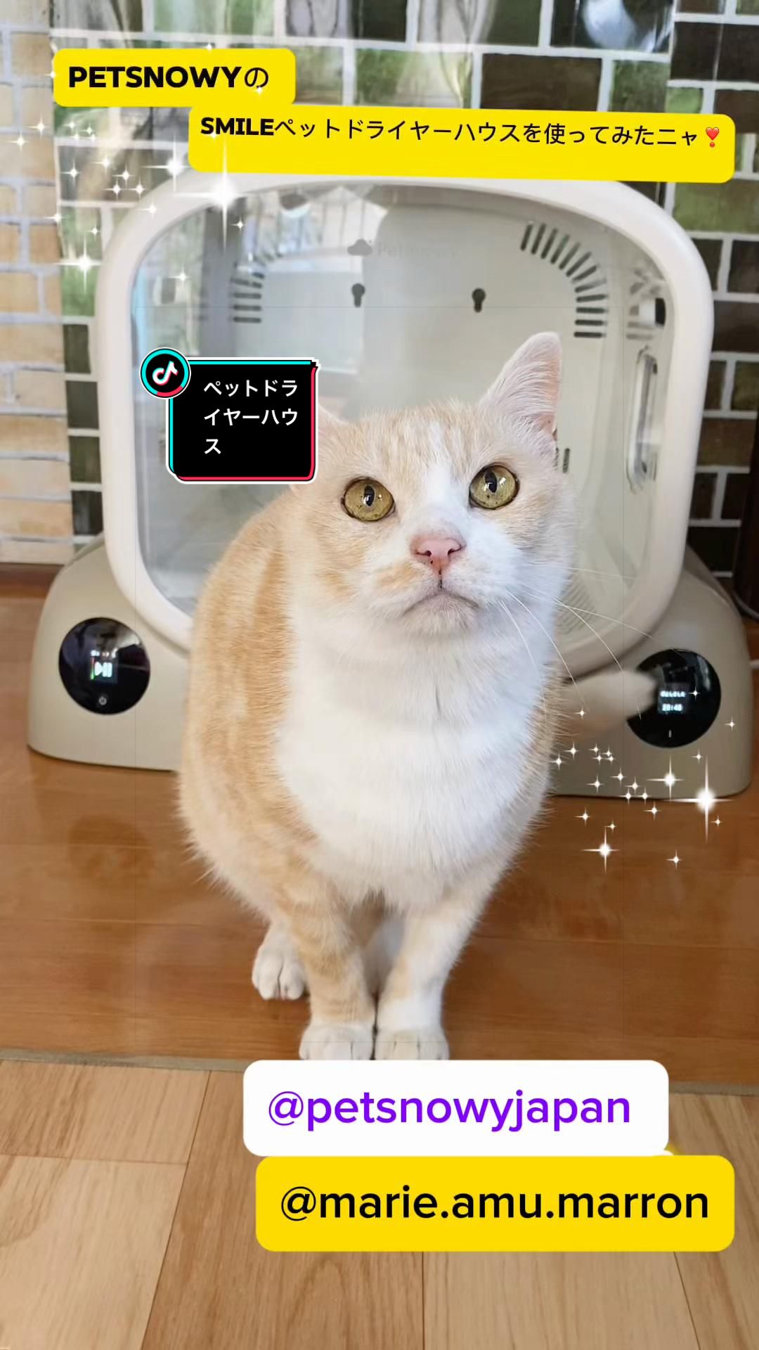 @オッドマリー