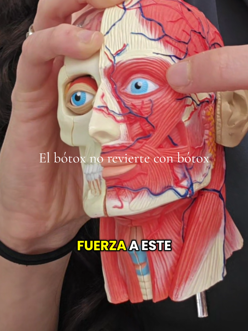 @Doctora Carolina Tellez