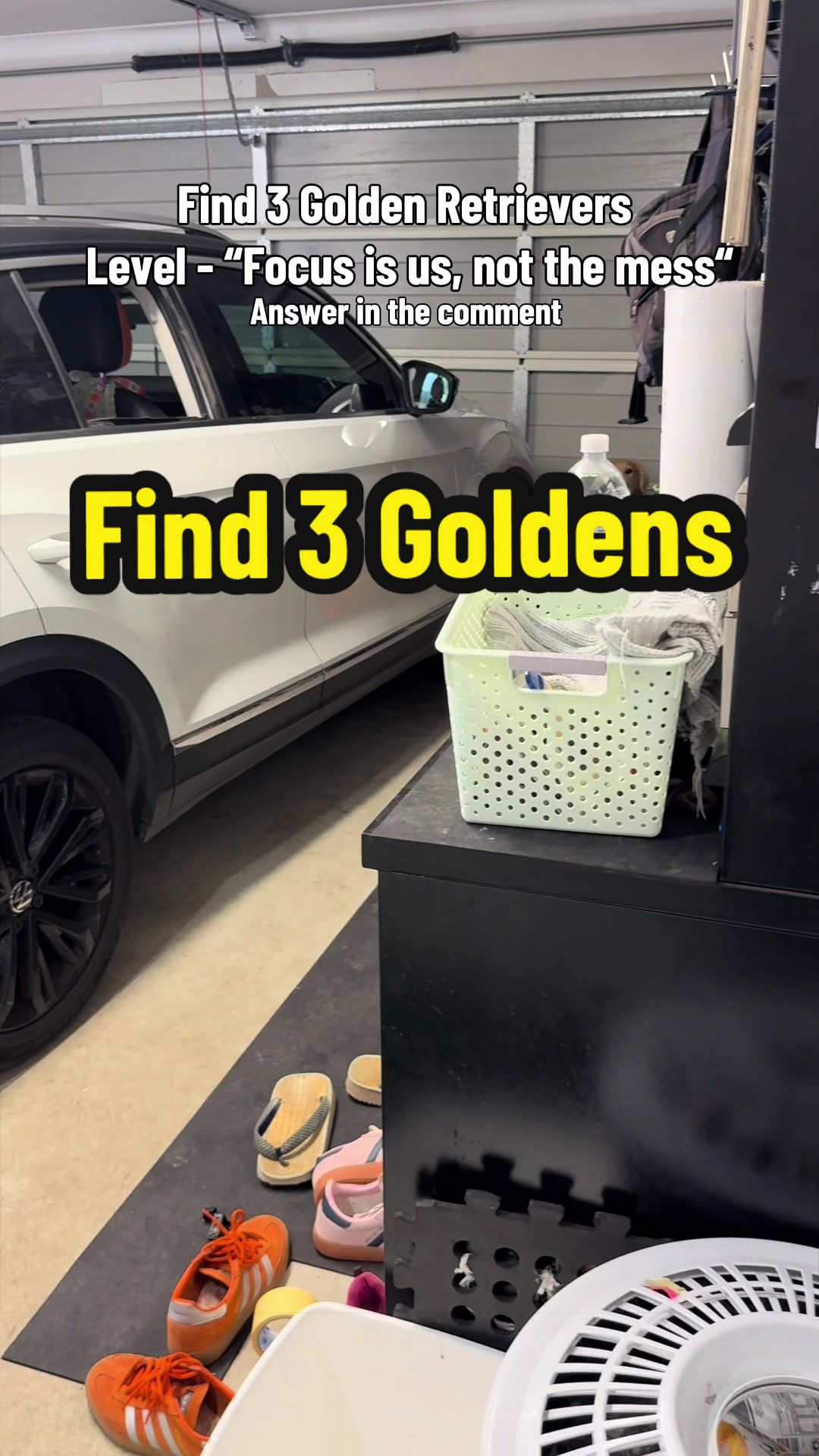 @3goldenretriever