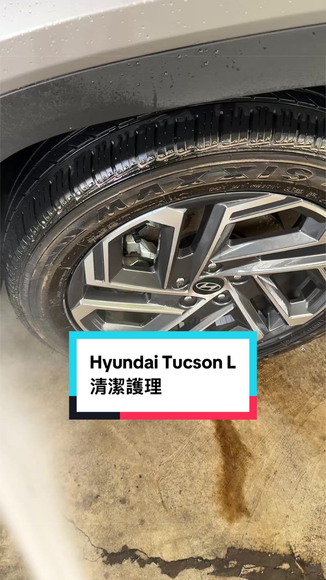 @邦尼洗車