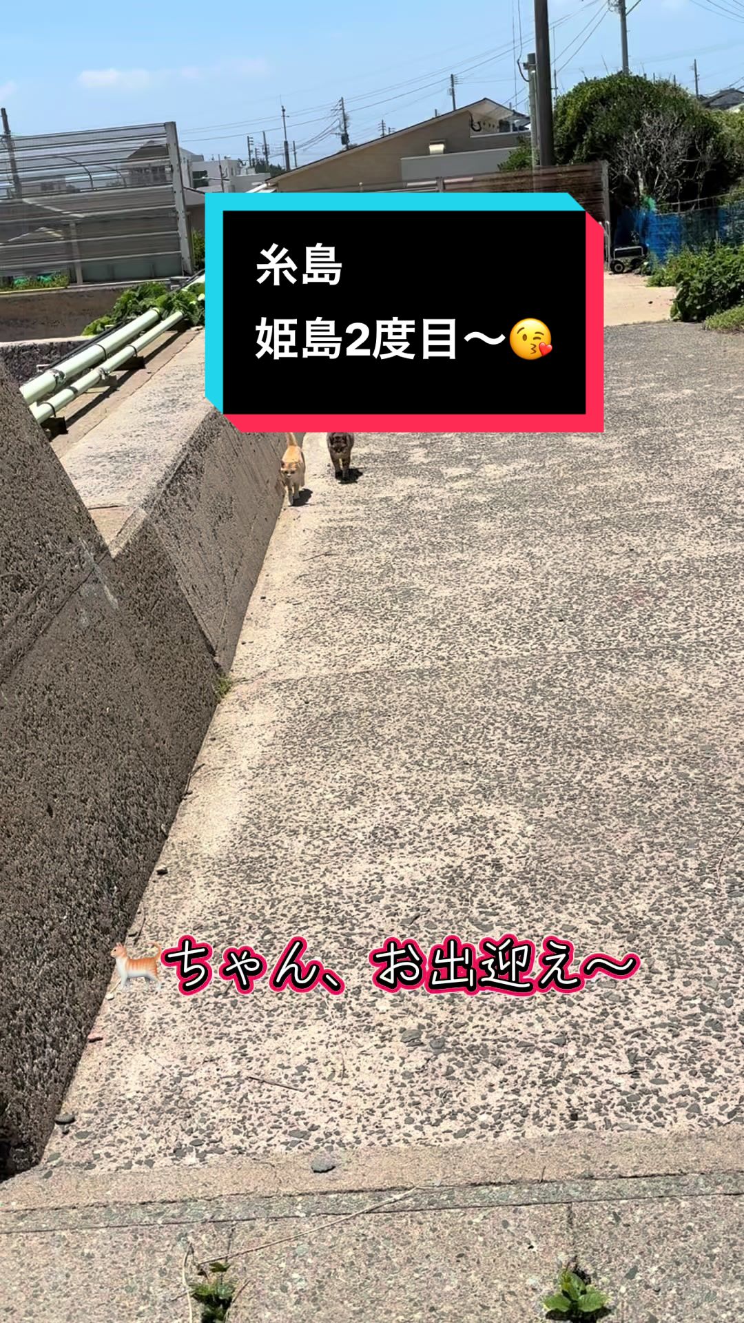 @ちから