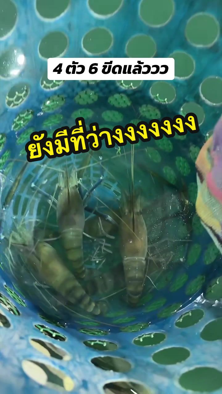 @น้องผึ้ง บ่อตกกุ้งนวนคร