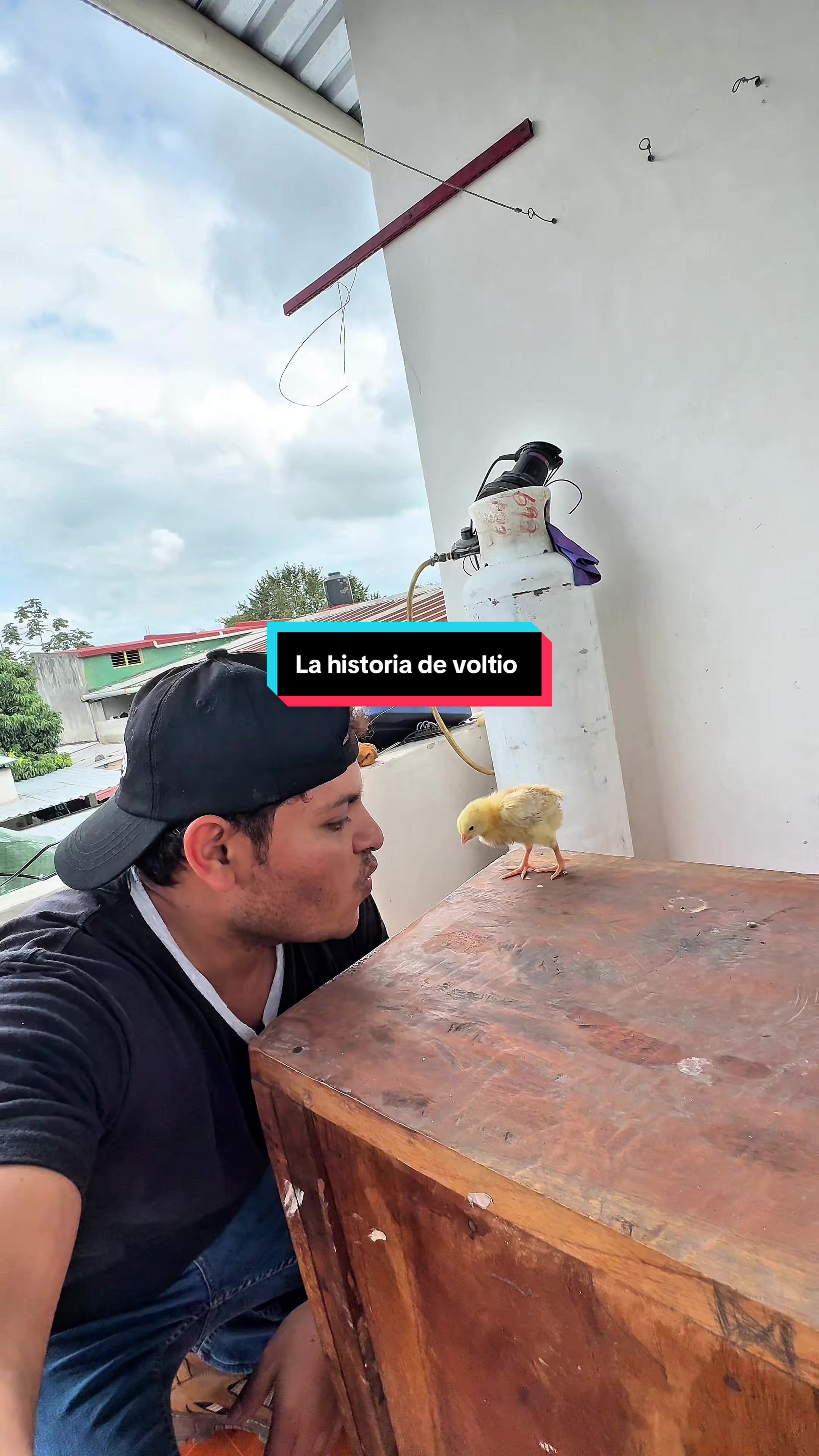 @Tecnitips