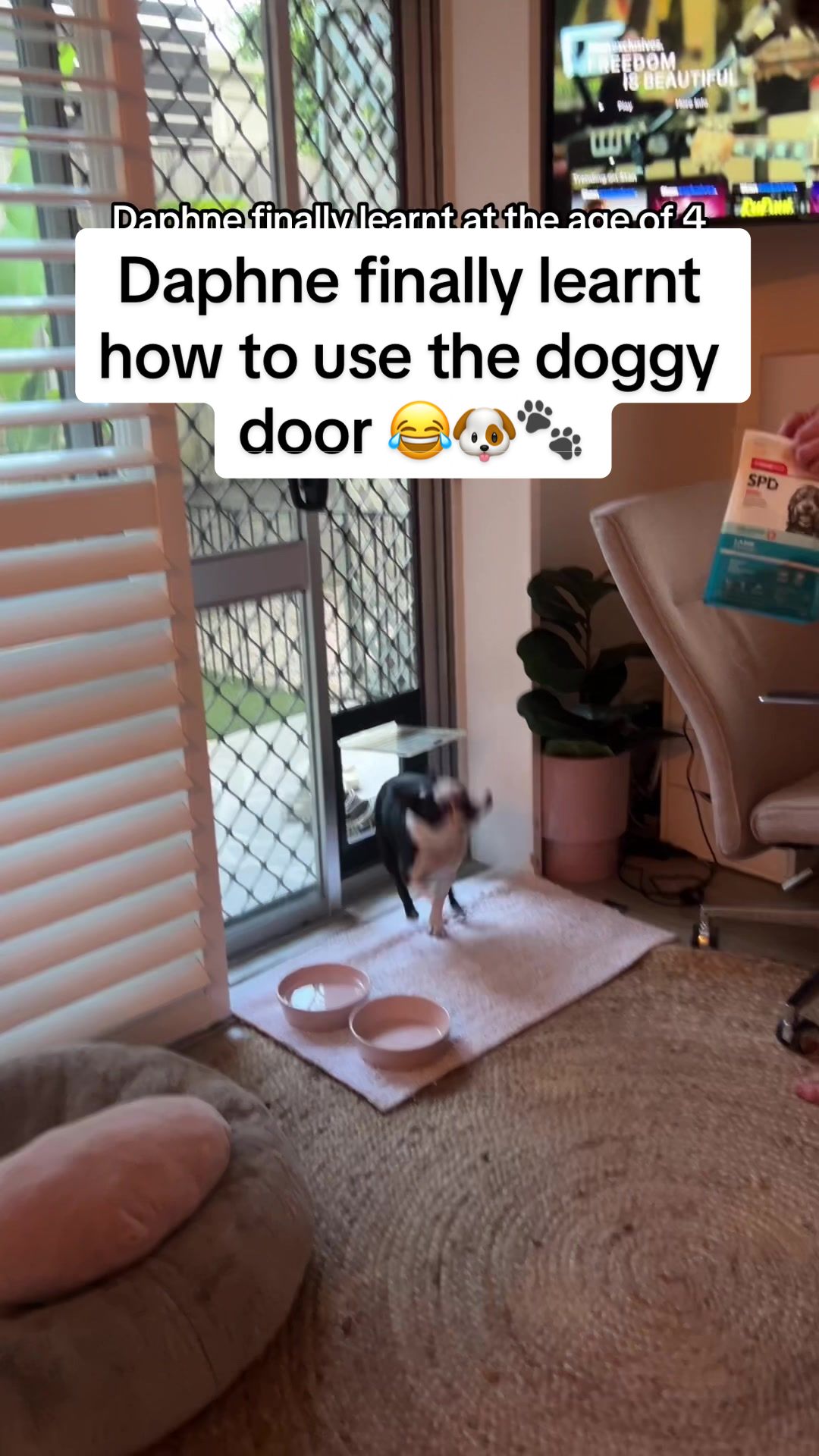 @Tess the Vet Nurse
