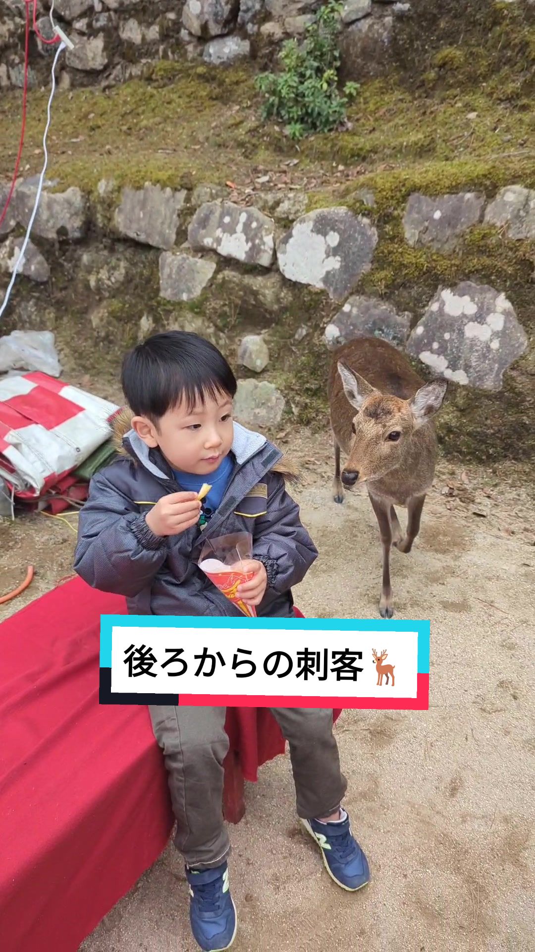 @ビスイ