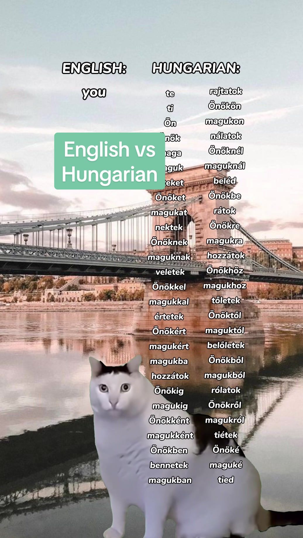 @hungarianwithlarka