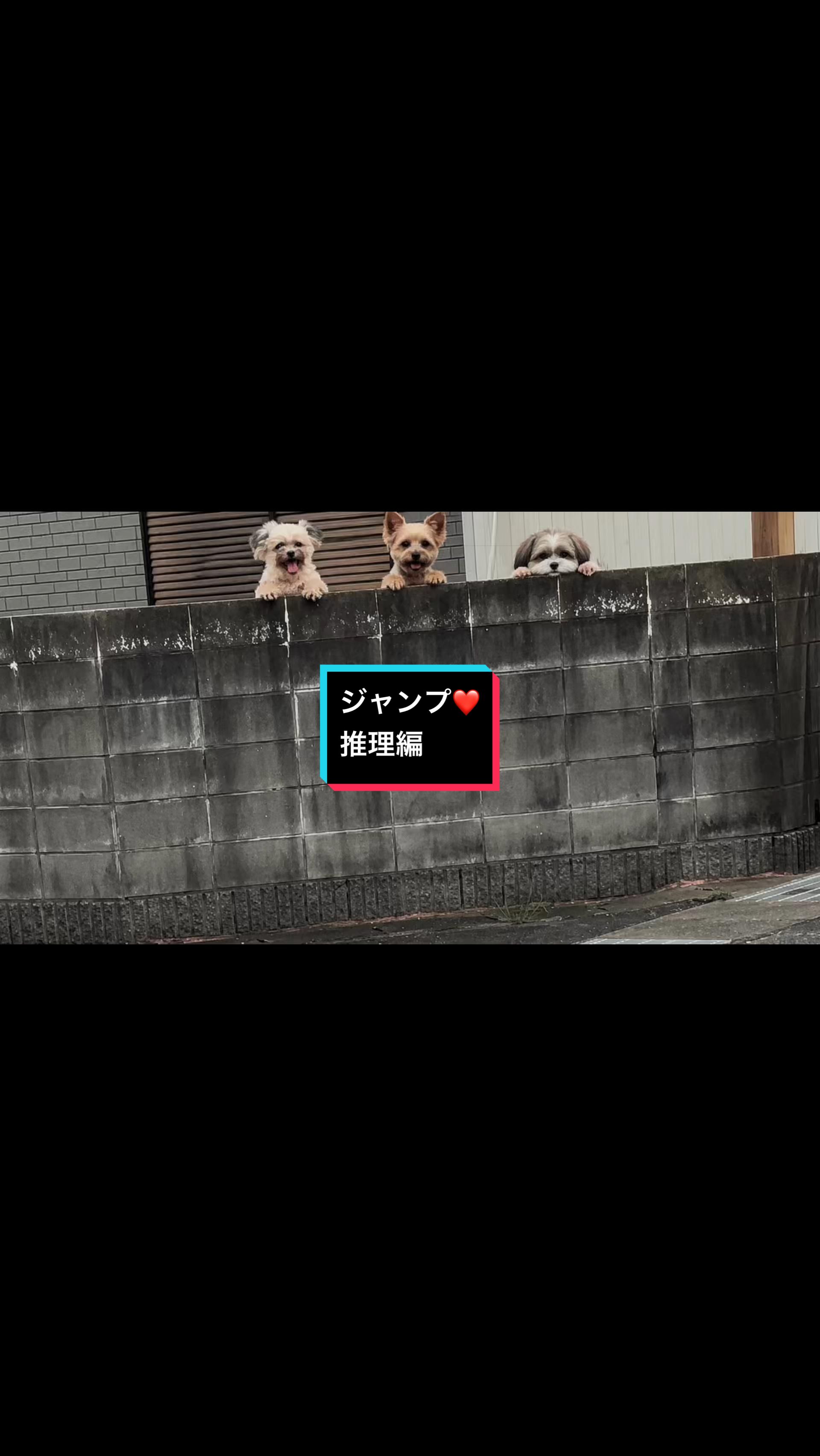 @空飛ぶこっこ🐣