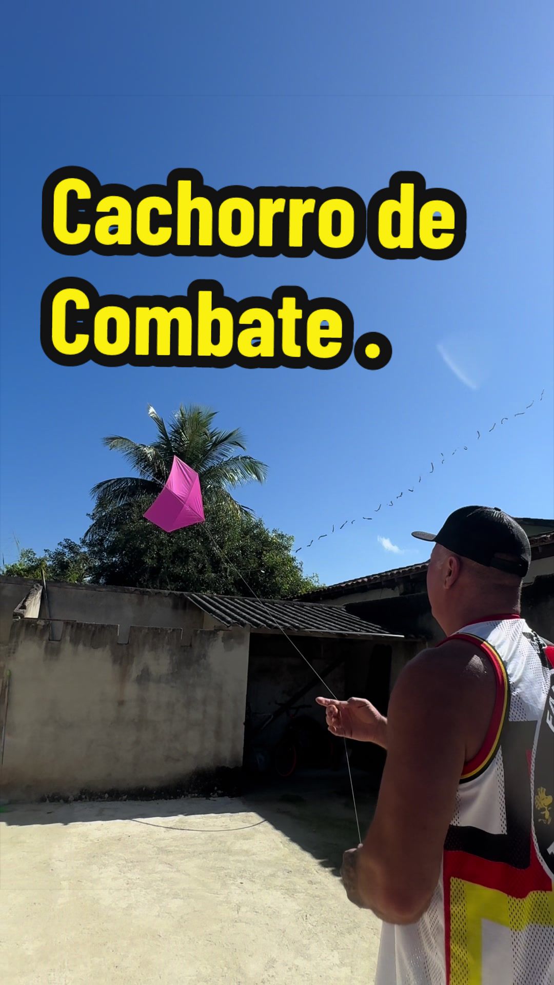 @Familia Passarinho
