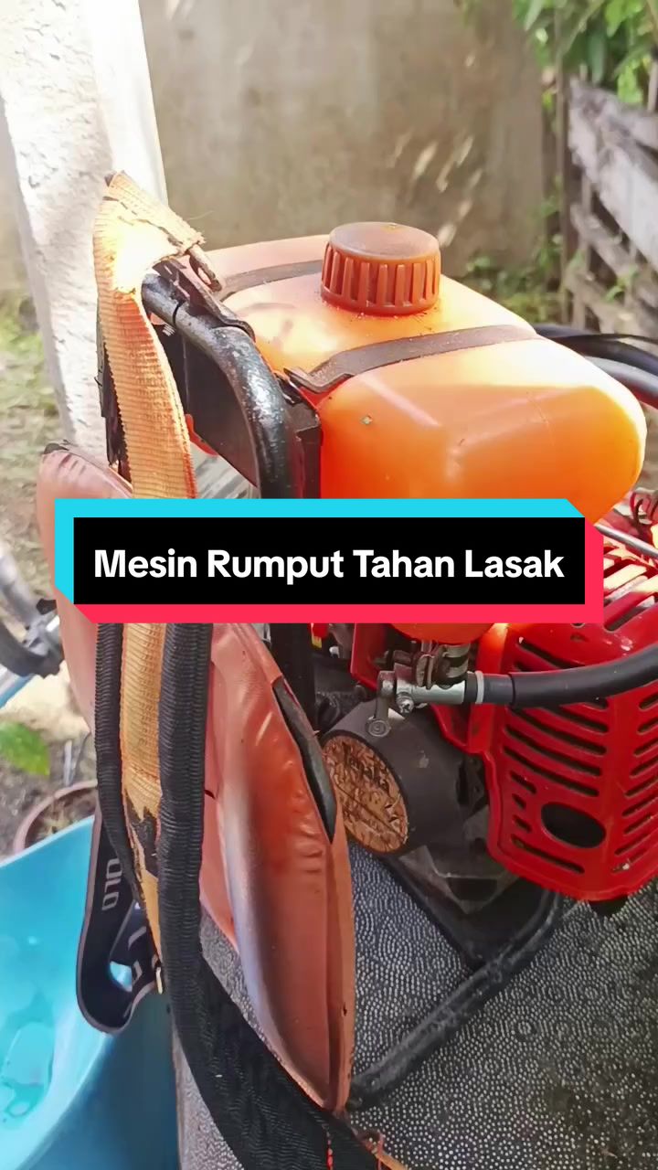 @AmSue || Racun TikTok 🔥