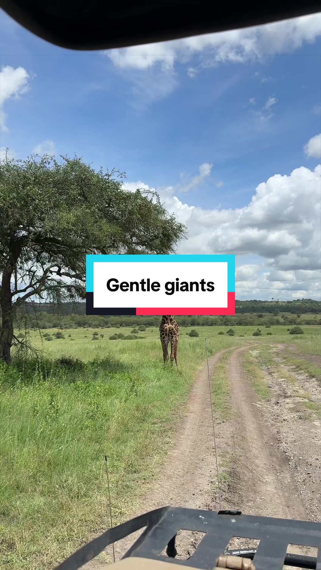 @Milana Tours and Safaris