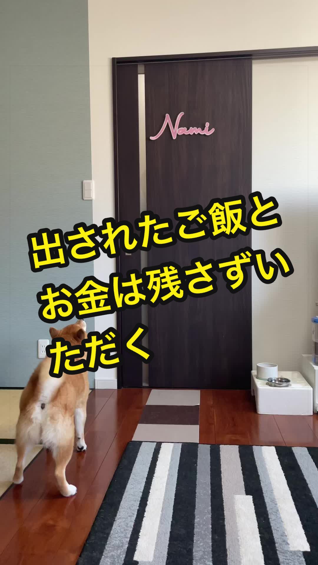 @特に柴犬が好きな人