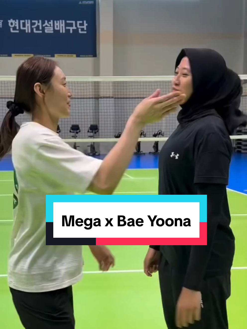 @라니아-Volleyball