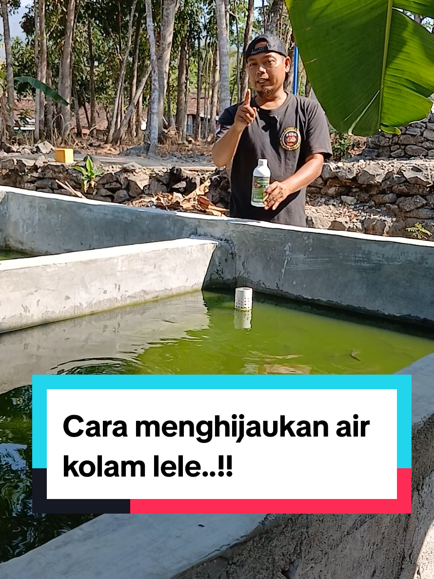 @Kang_Ewi
