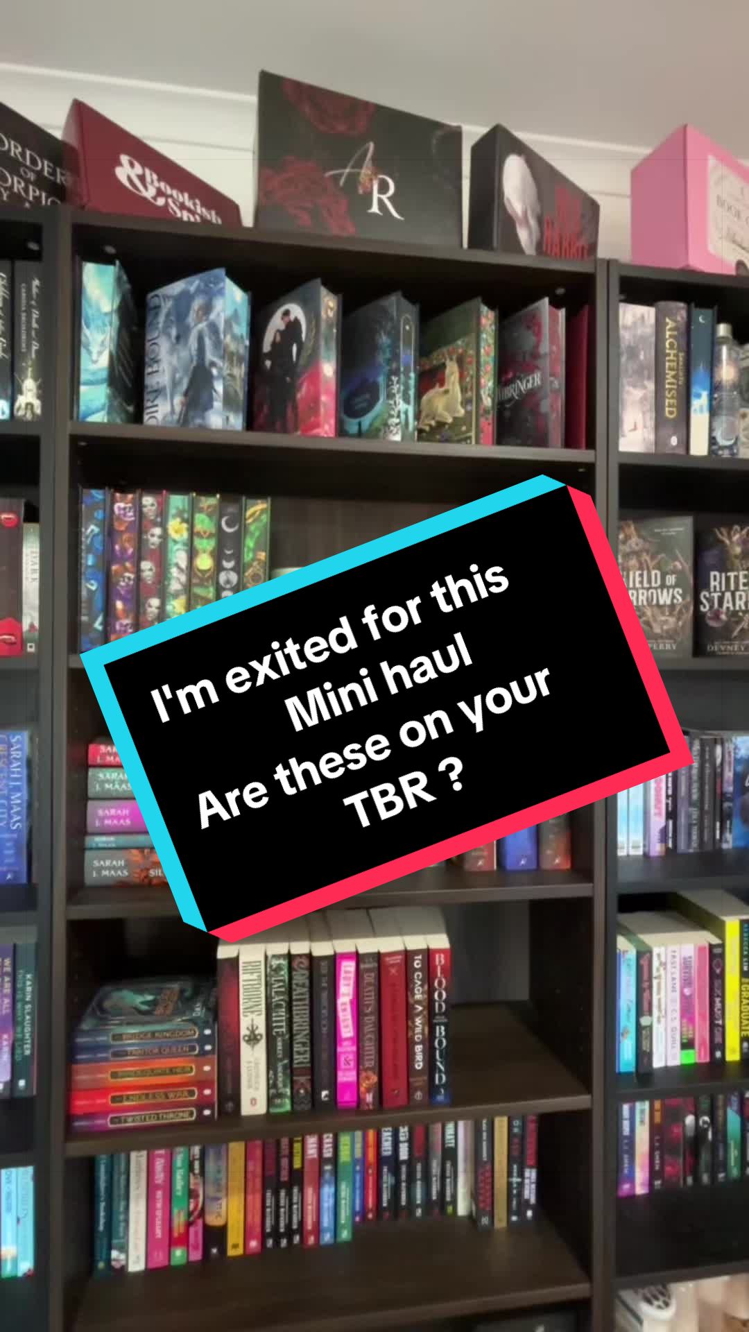 @💐 shay's book corner 💐