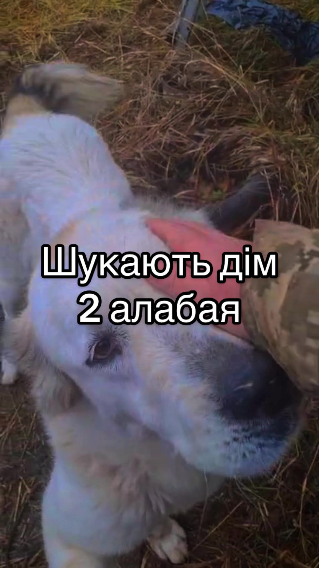 @Serhii Ludenskyi