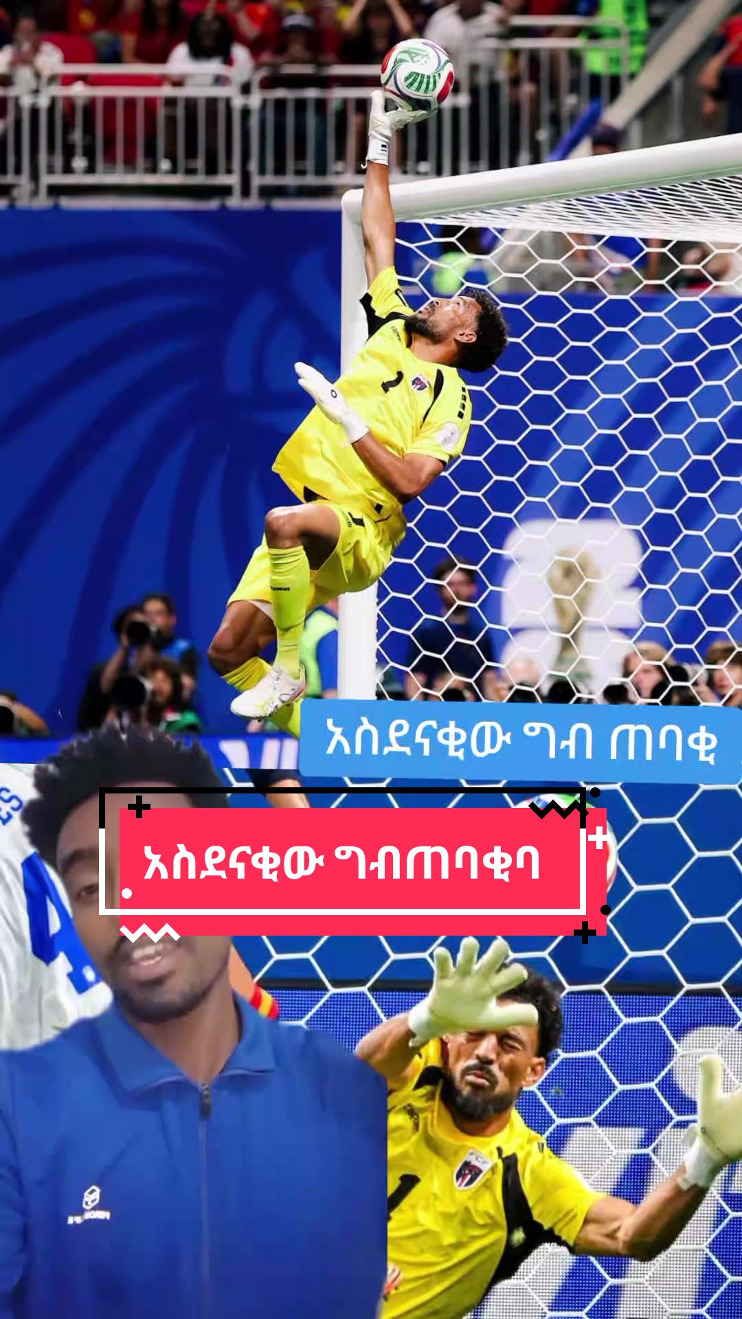 @Sham Sport