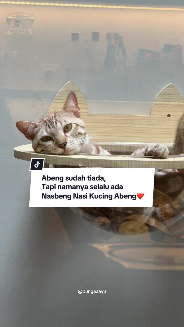 @Bunga Ayu