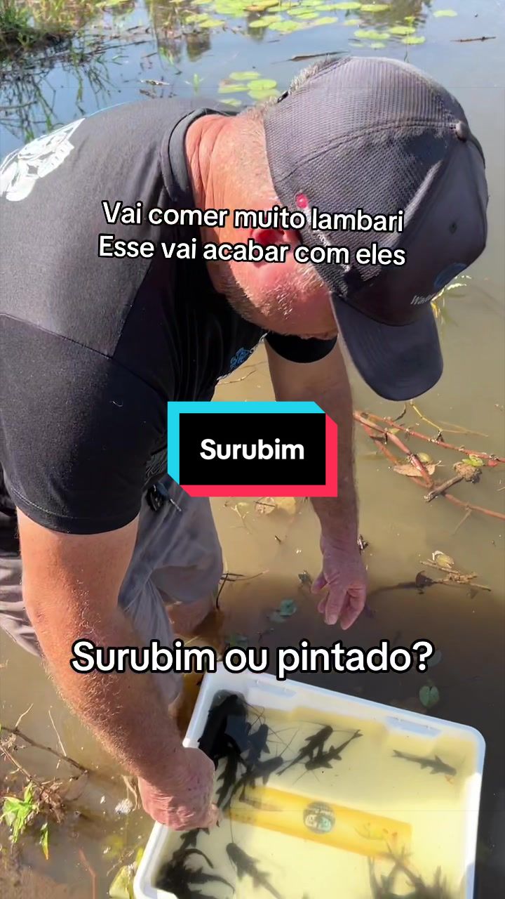@Walter Fish