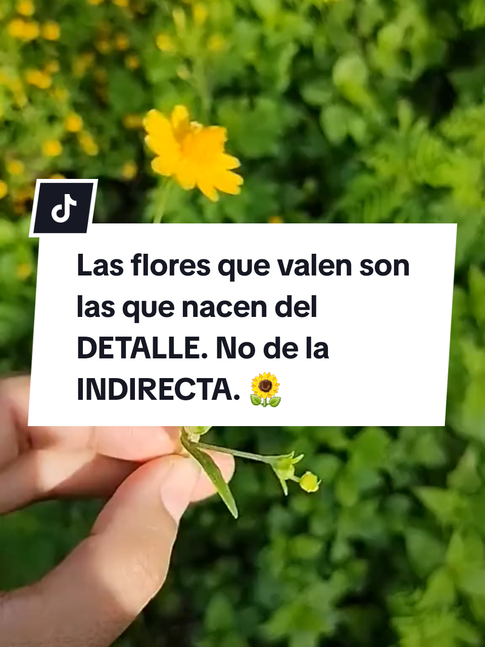 @Rubi Gonzales Fernandez