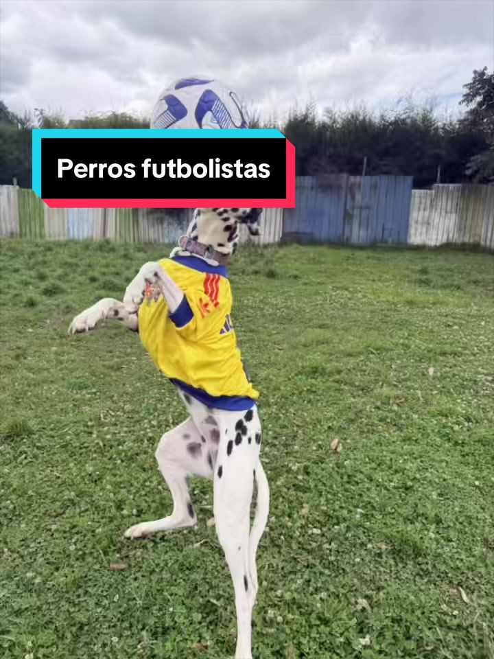 @Mascotear Guardería