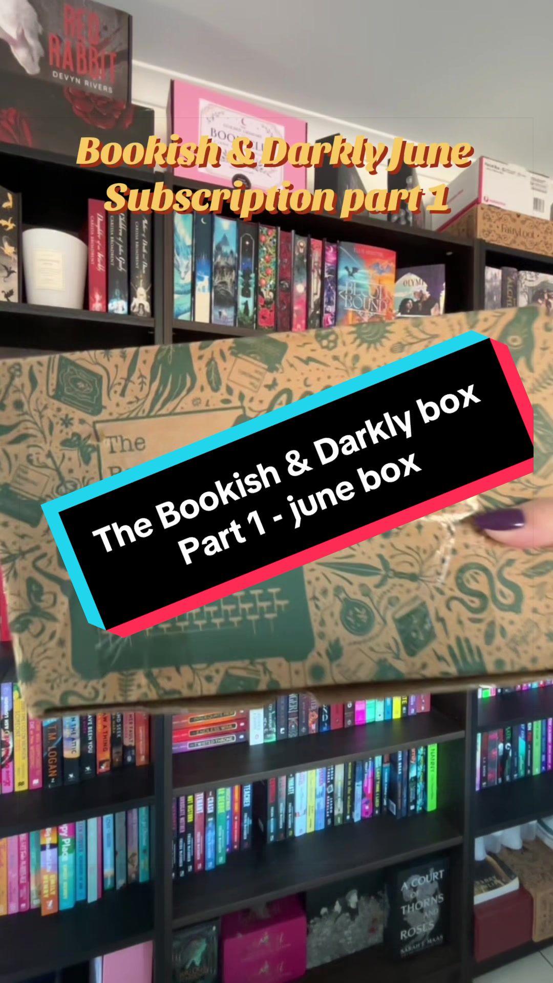 @💐 shay's book corner 💐