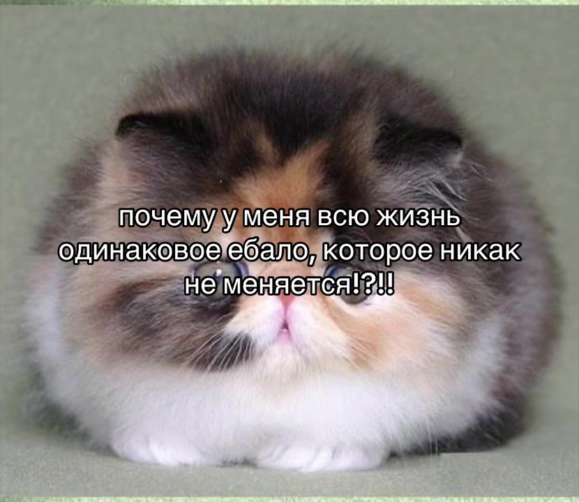 @Леська 🚩🪜