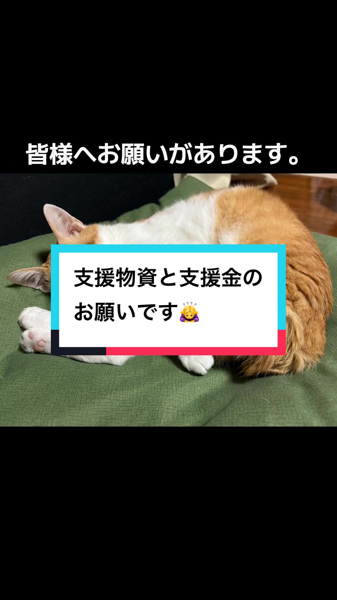@ブルースカイの倫