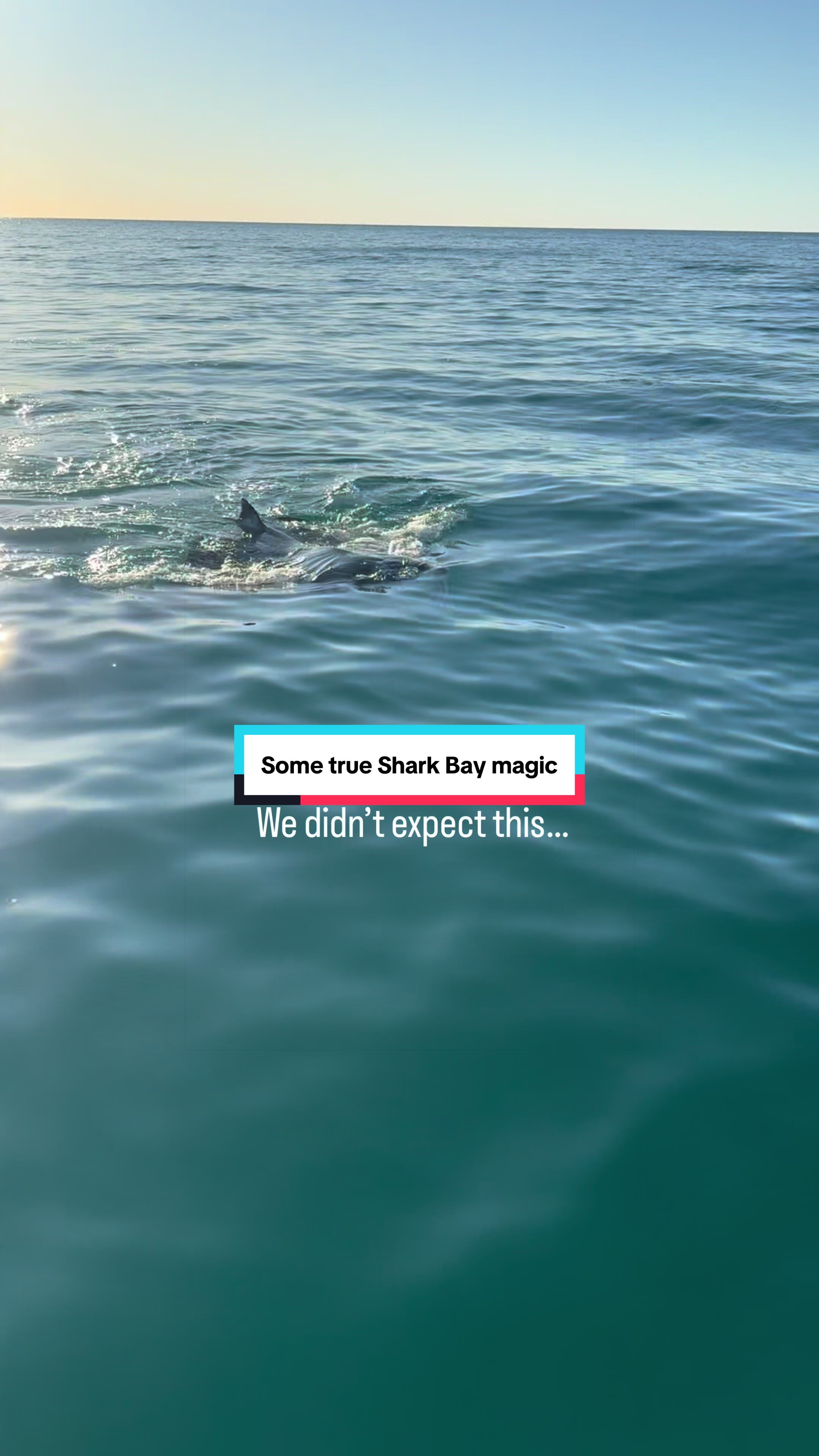 @Australia&rsquo;s Coral Coast