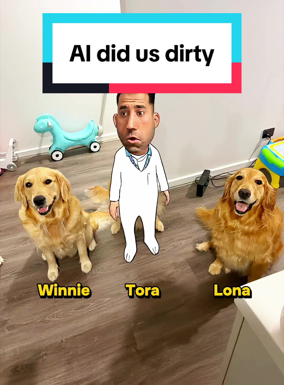 @3goldenretriever