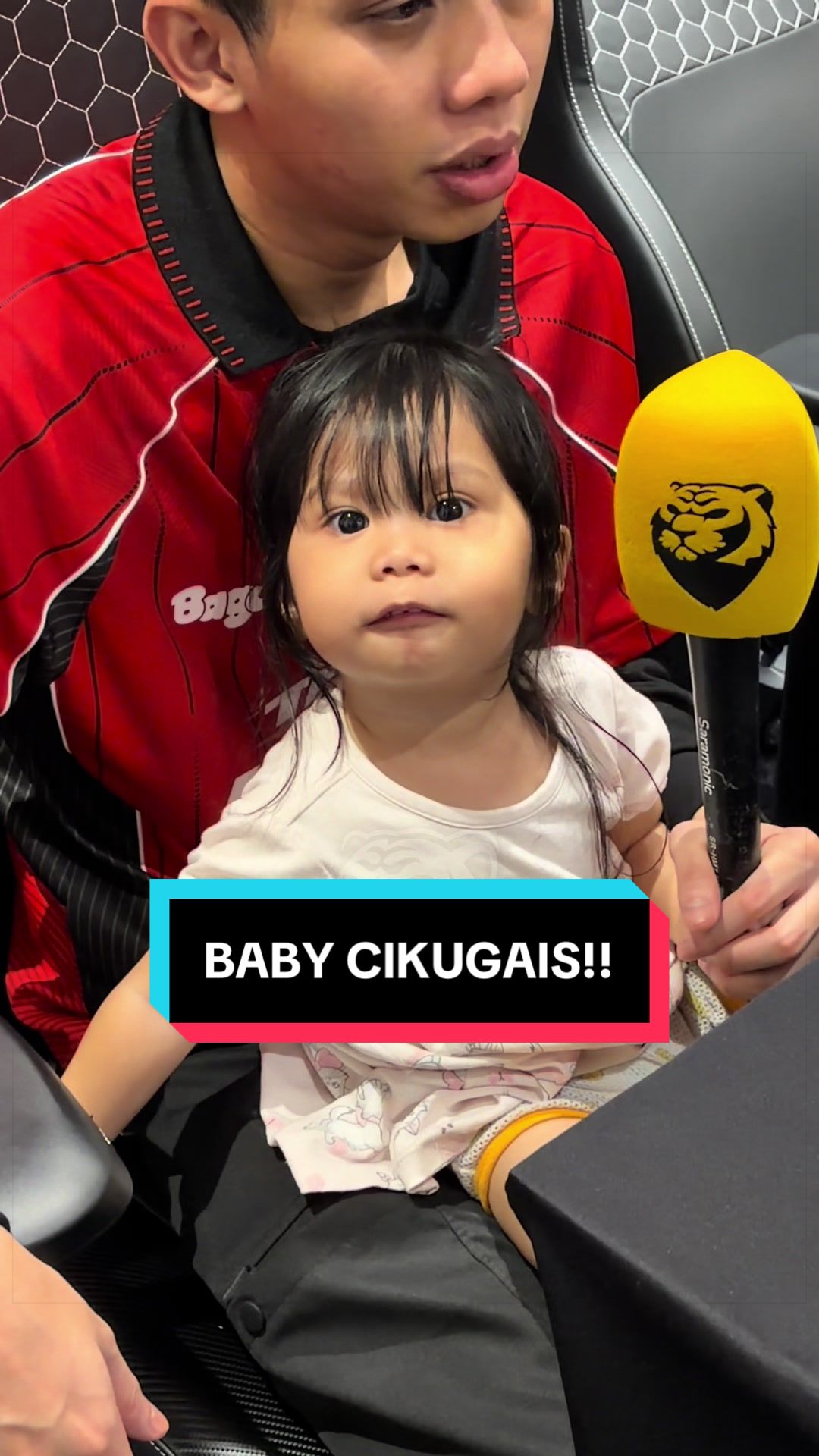 @HARIMAU MALAYA