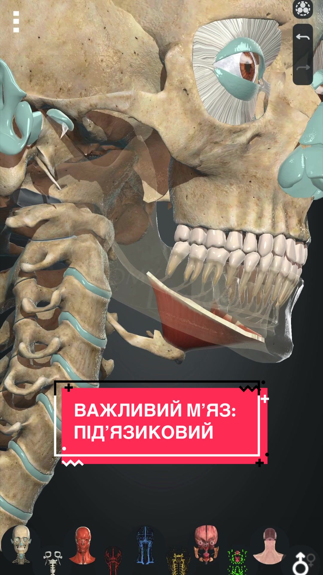 @B I K M A E V