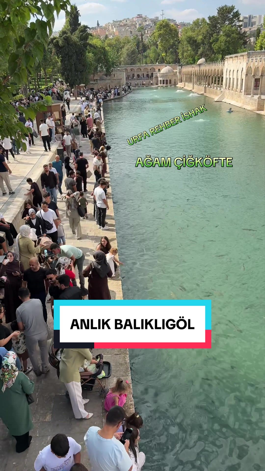@🟨URFA🟩REHBER🟨İSHAK🟩