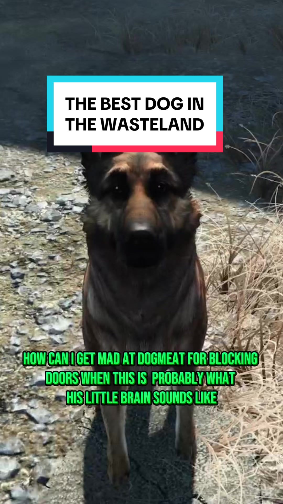 @VaultNostalgia