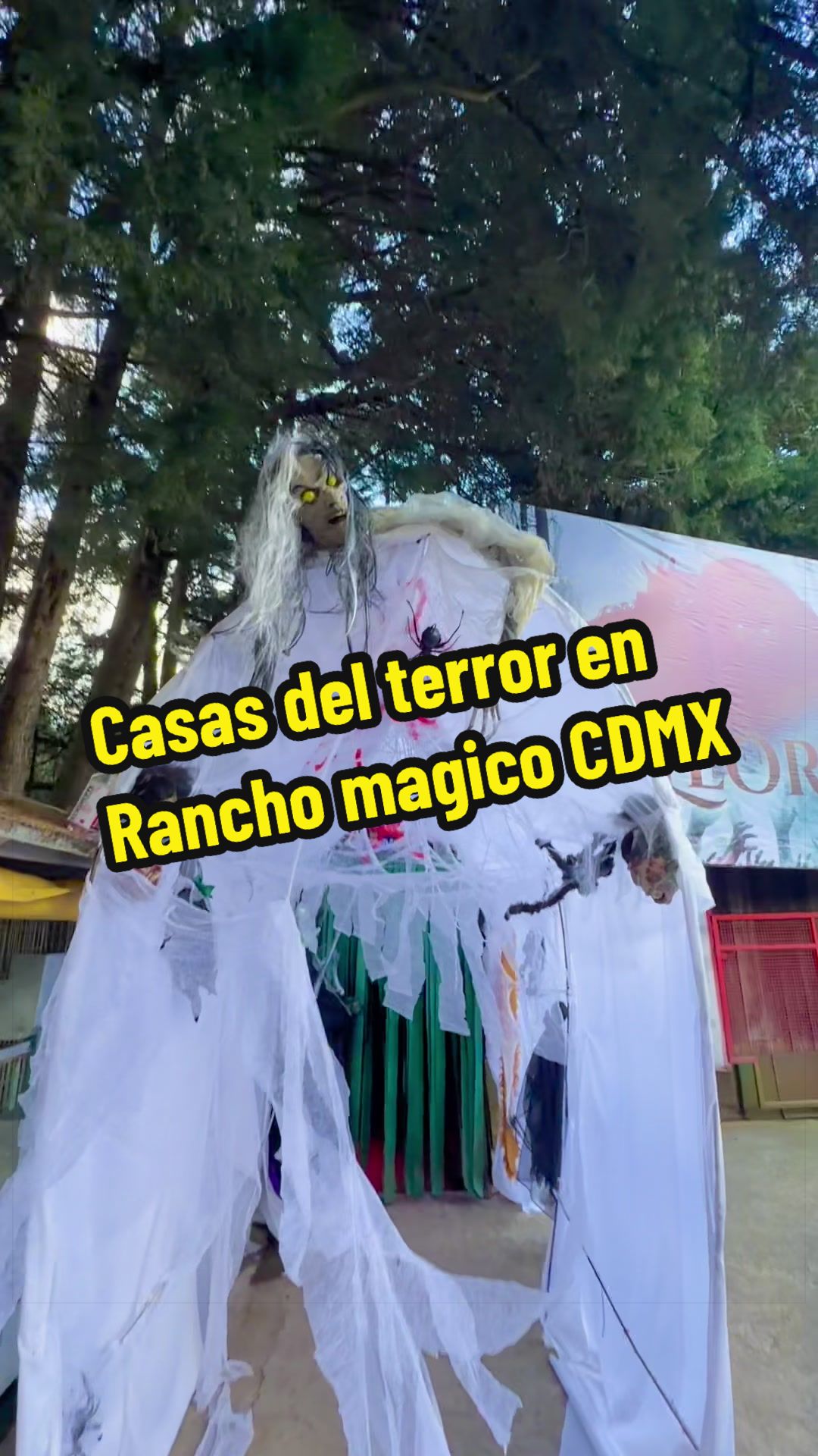 @elbauldemorelosoficial