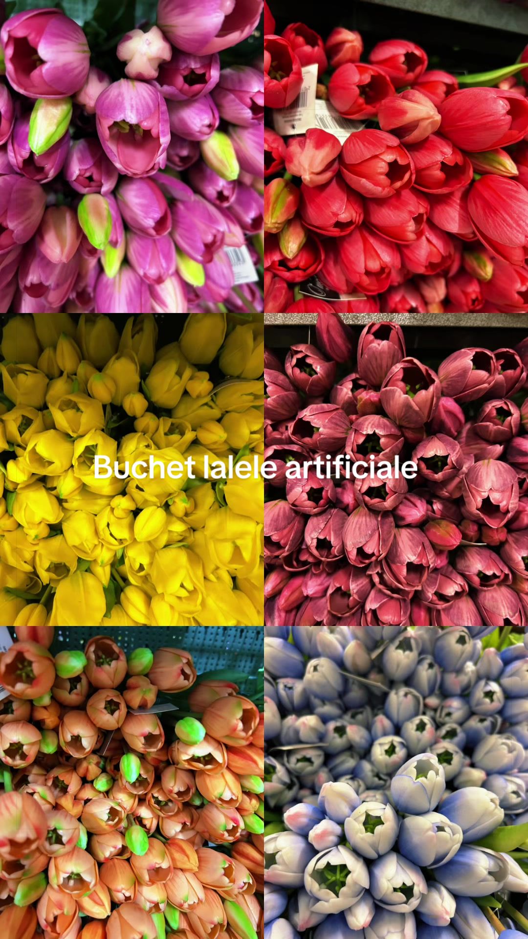 @🧚🏻🧚🏻@🌹🌺🌹@🧚🏻🧚🏻