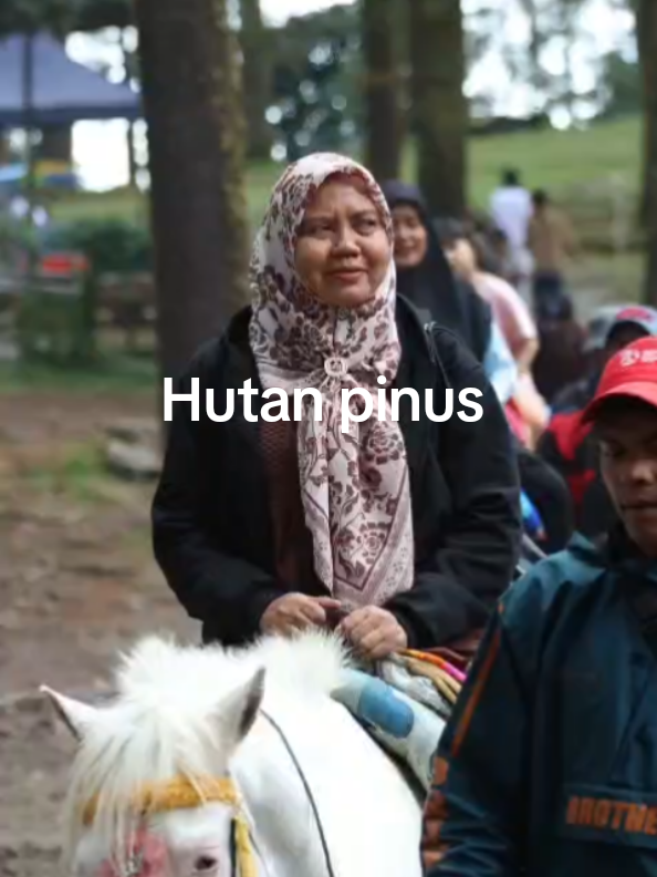 @Nur Alim Arsyad