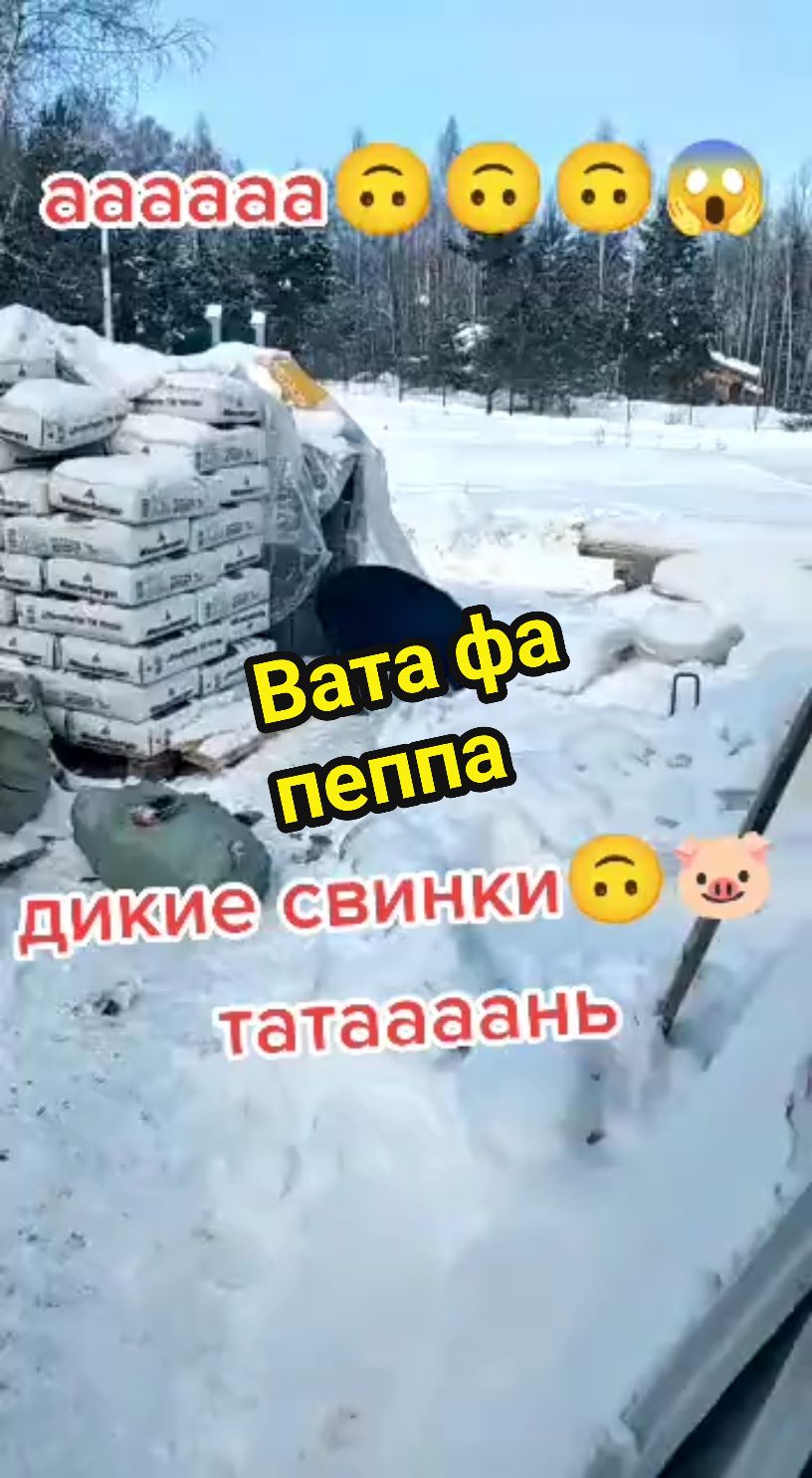 @🤟Веня Машаранский✌